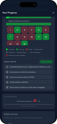 Mistakes heat map and weak spots in Driving Freedom, showing which Patente B topics to practise again
