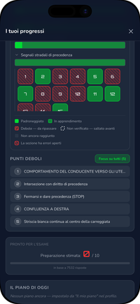 Mappa degli errori e punti deboli in Driving Freedom: mostra quali argomenti della Patente B ripassare
